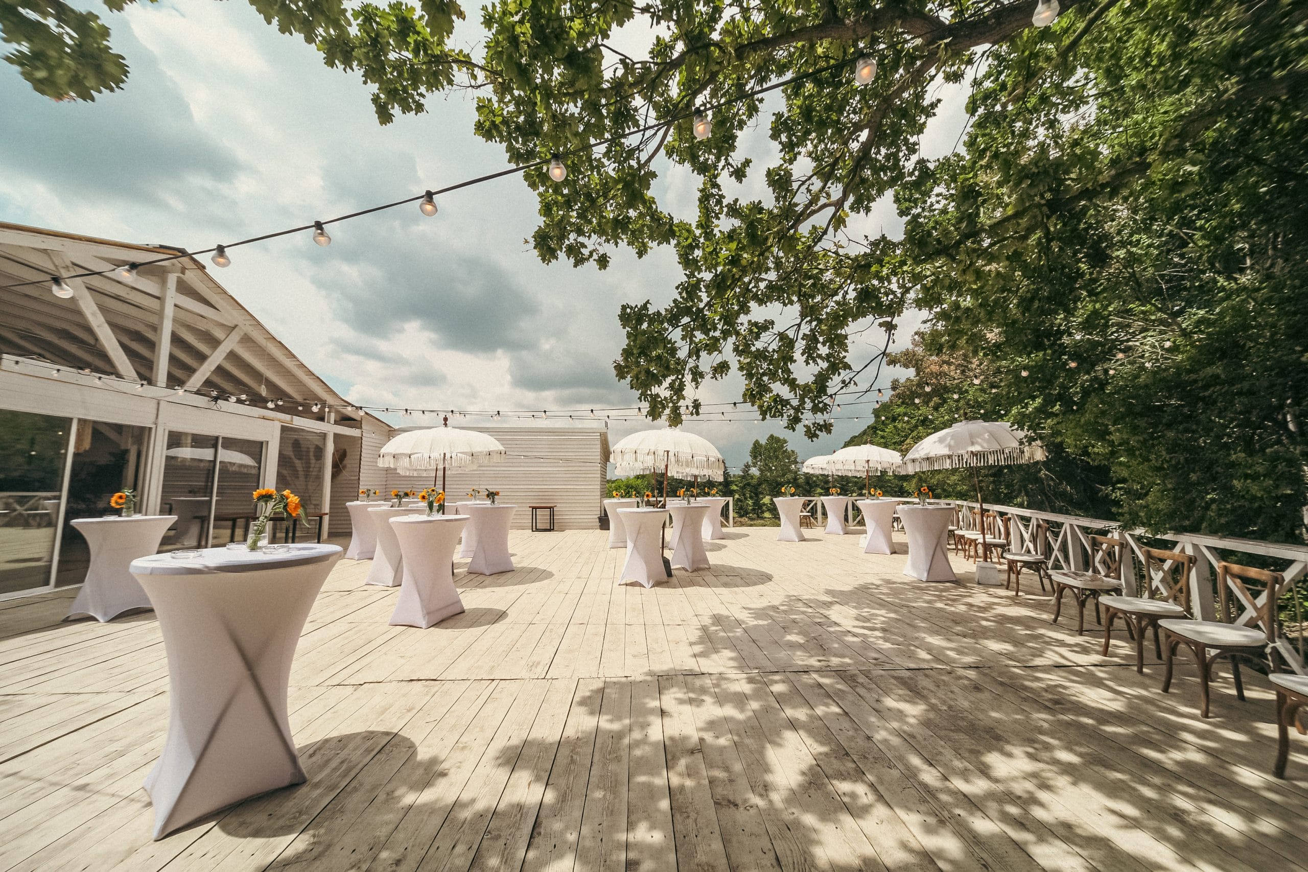 Copy of 0M6A4333 scaled