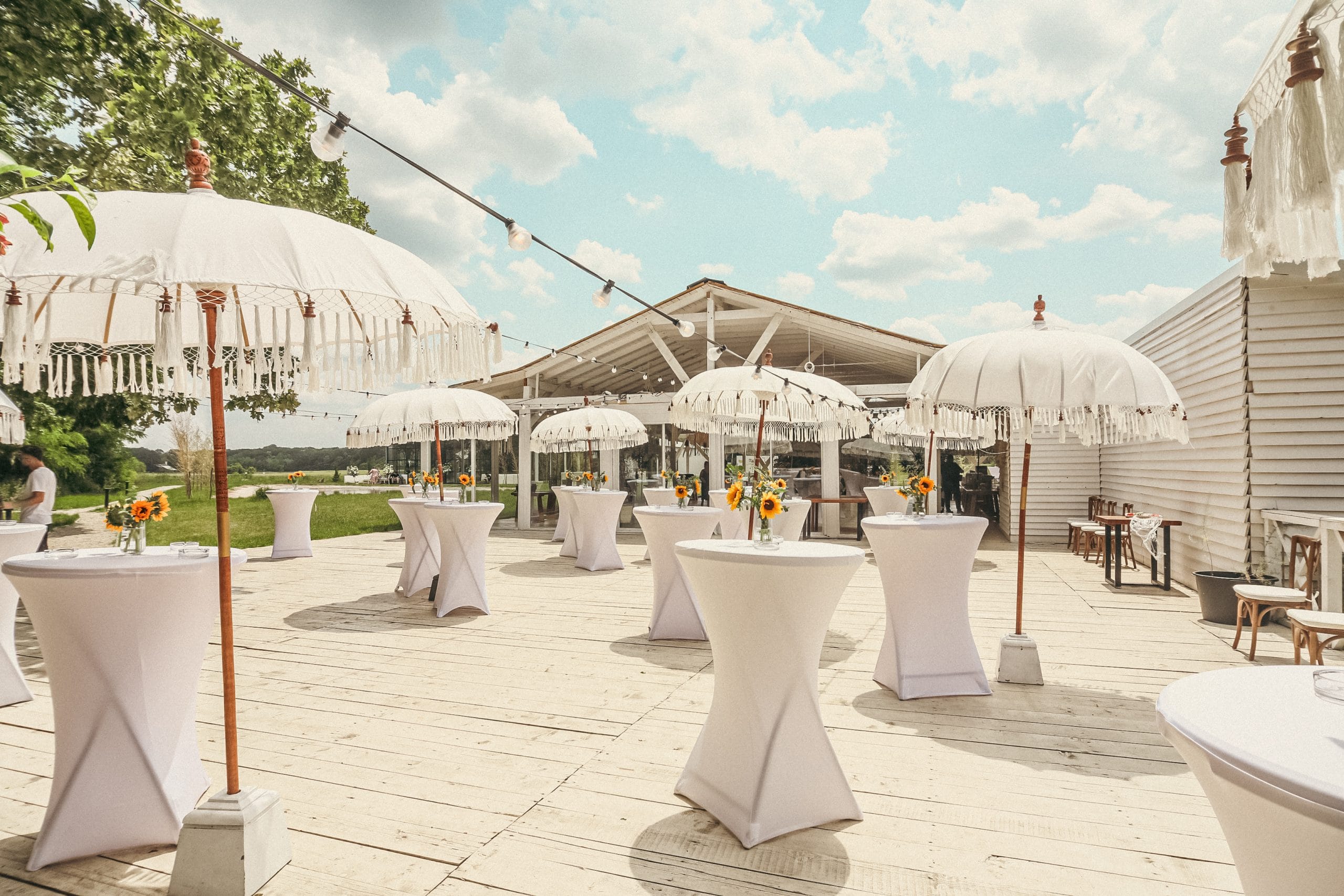 Copy of 0M6A4356 scaled