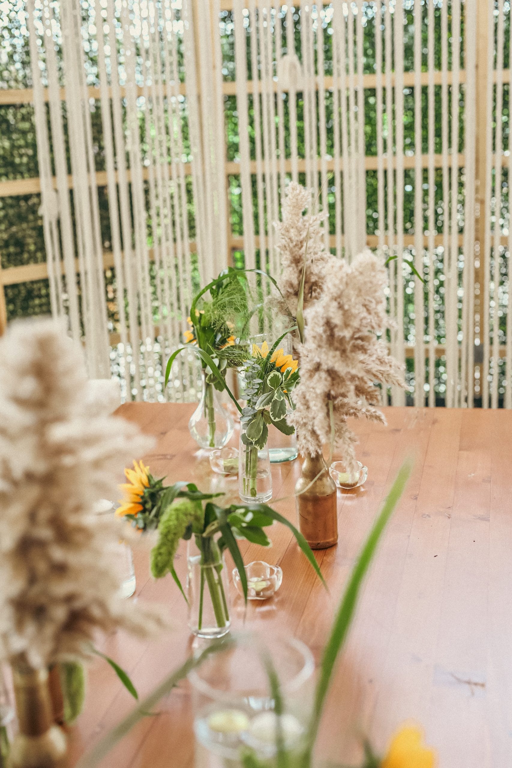 Copy of 0M6A4442 scaled