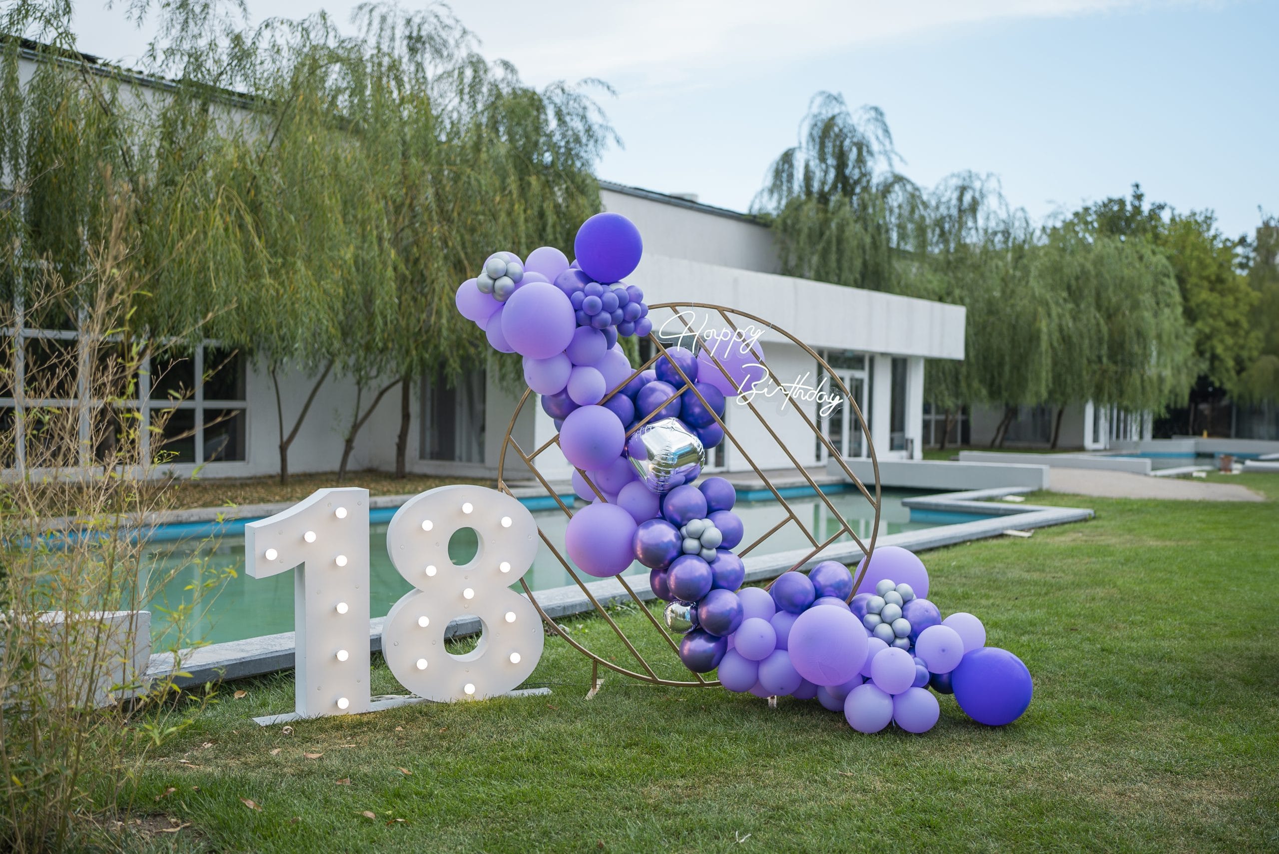 Sweet 18 4 Copy of DSC06536 scaled