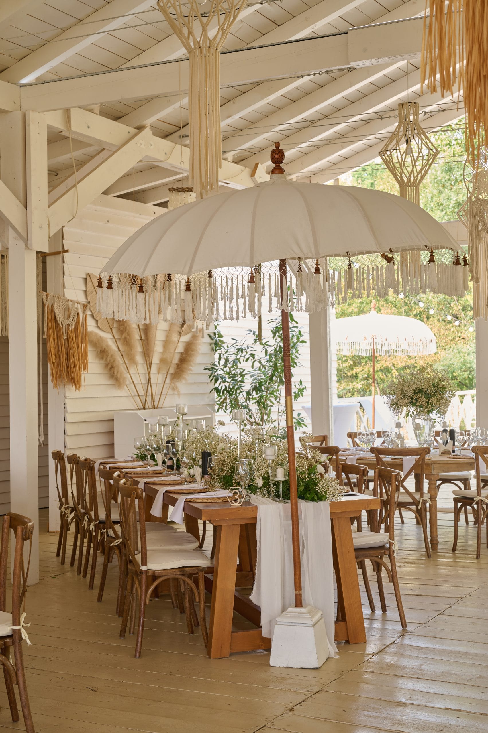 Copy of DSC 7564 scaled