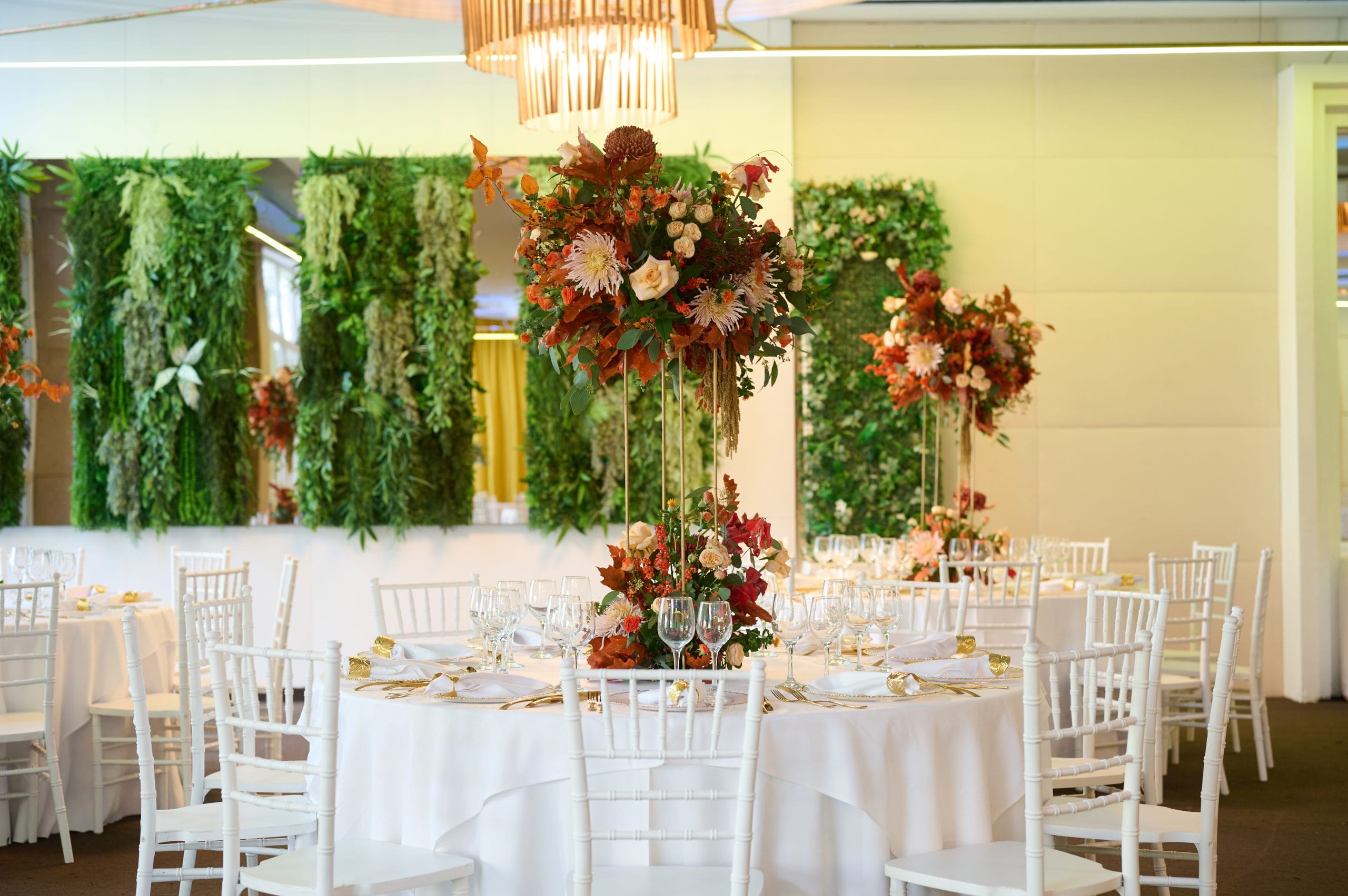 Jubile Concept 6 Copy of DSC 8627 scaled