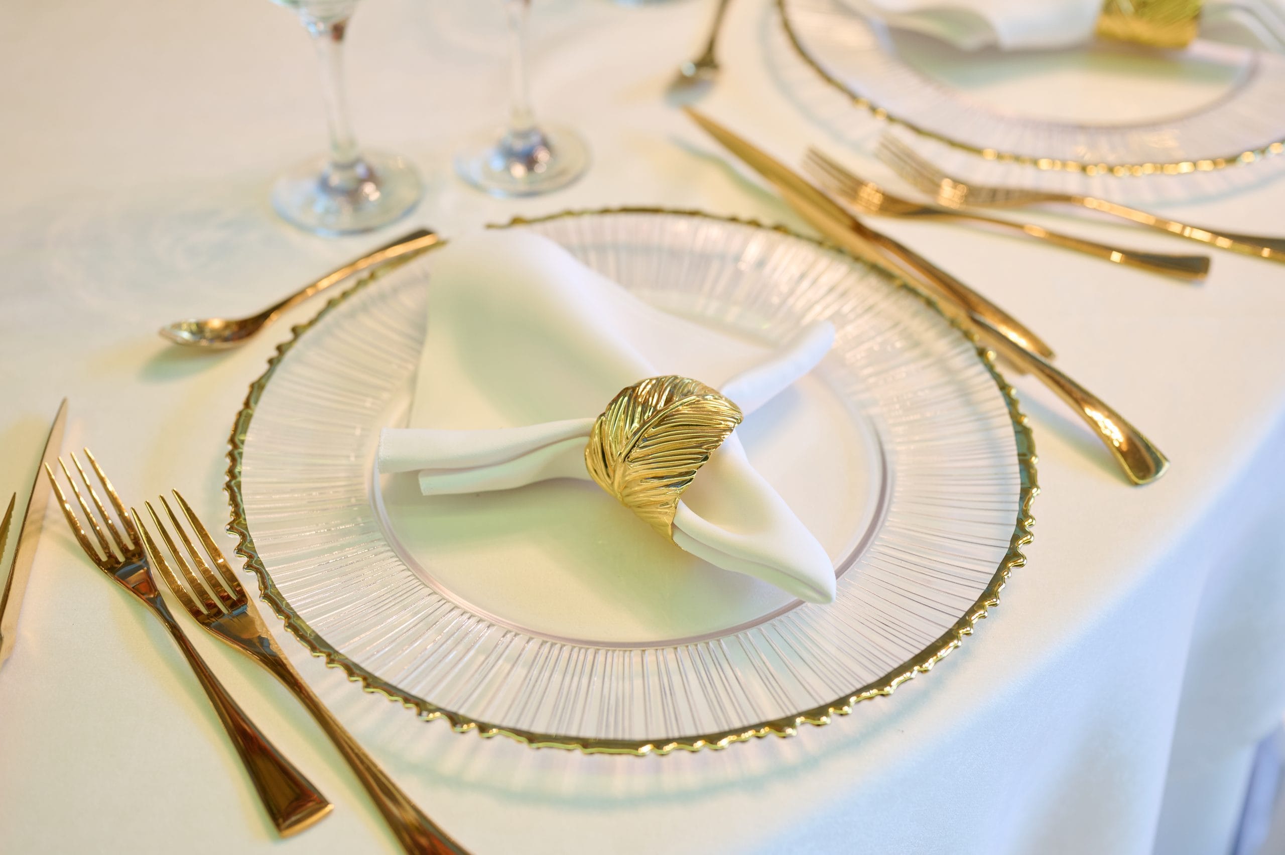 Jubile Concept 16 Copy of DSC 8637 1 scaled