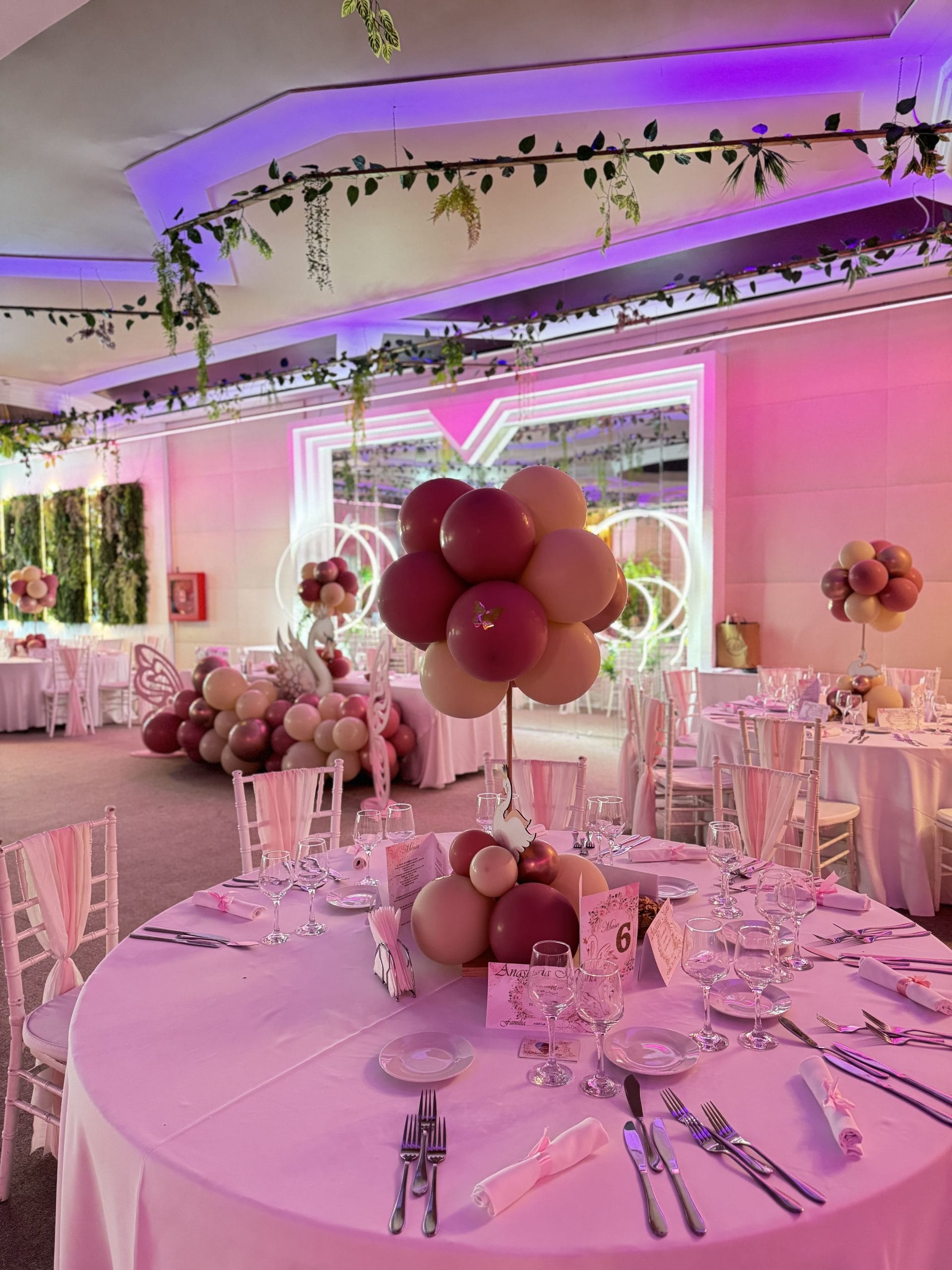 Botez 17 Copy of IMG 2629 scaled