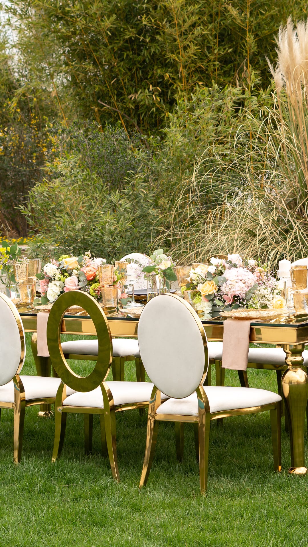 Jubile Concept 9 Copy of Untitled 1