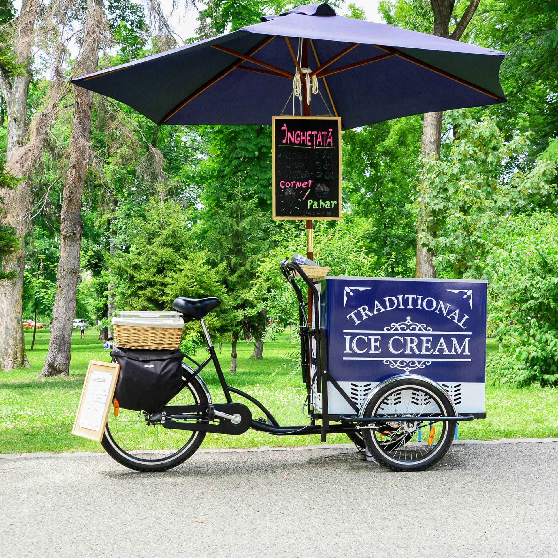 Botez 24 Copy of ice cream bike 2 1