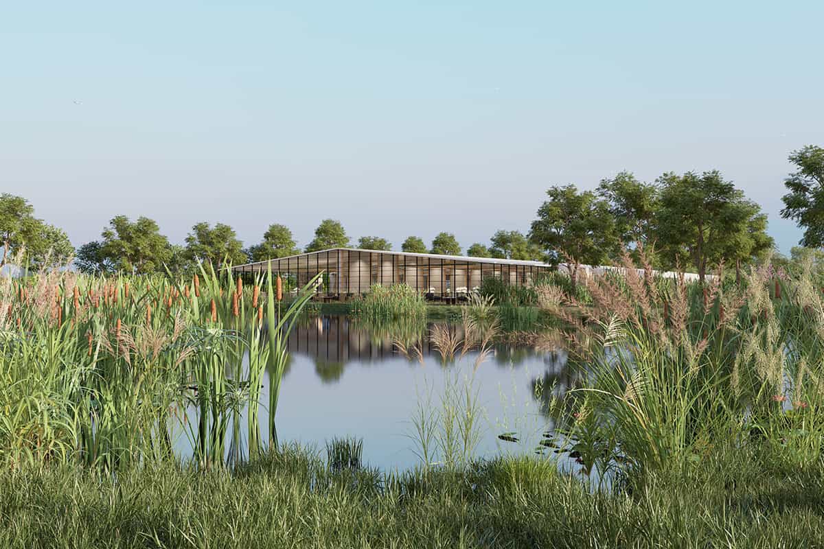 cununie jubileforest 5